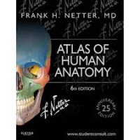 Atlas Of Human Anatomy